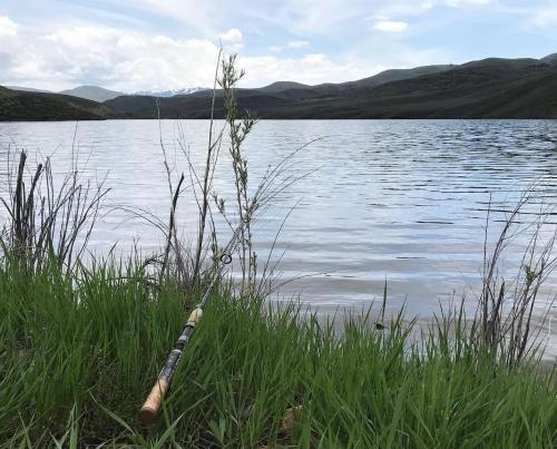 A fishing rod rests on the grass by a calm lake, surrounded by green hills and a cloudy sky.