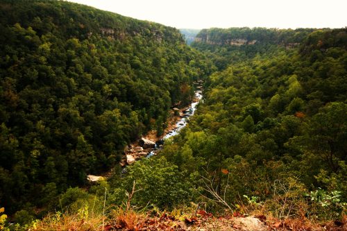 A scenic view of a lush green valley with a winding river surrounded by dense trees and rocky outcrops.