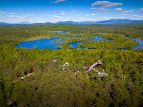 Aerial view of a lush green forest with a winding river and a lookout tower amidst the trees under a blue sky.