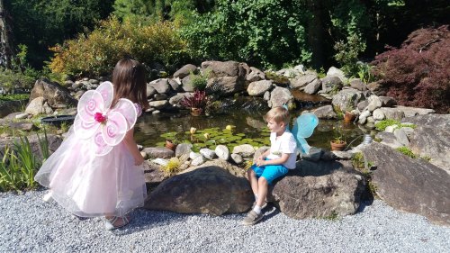 A girl in a pink fairy costume and a boy in a blue fairy costume sit by a pond surrounded by rocks and greenery.