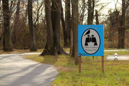 Sign for Luther Goldman Birding Trail, surrounded by trees, with a winding path leading into the area.