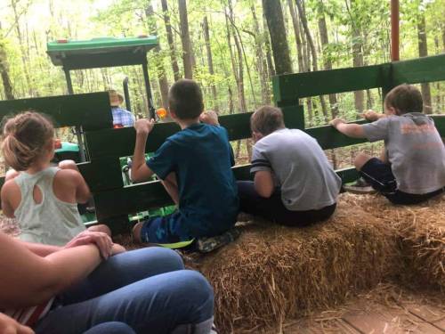 Children sitting on hay bales, looking out from a green wagon in a wooded area.