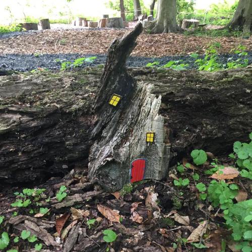 A whimsical miniature house made from a tree stump, featuring a red door and yellow windows, surrounded by greenery.