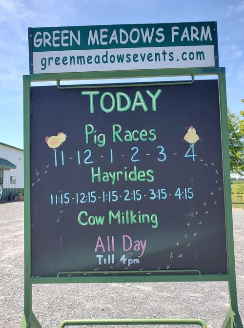 Signboard at Green Meadows Farm listing today's events: pig races, hayrides, and cow milking, open until 4 PM.