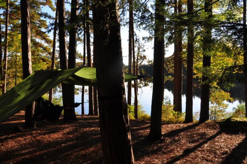 A serene lakeside scene with a hammock strung between trees, surrounded by autumn foliage and reflected in the water.