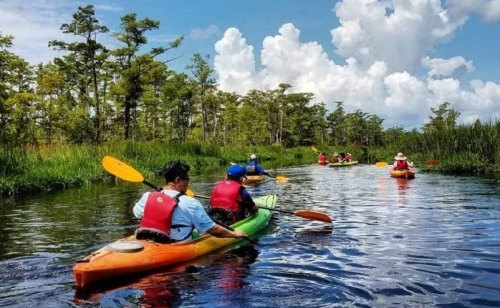 A group of kayakers paddles through a serene waterway surrounded by lush greenery and blue skies.