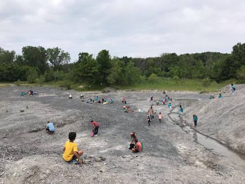 Children digging and exploring in a gravel pit surrounded by trees and greenery on a cloudy day.