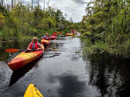 A group of kayakers paddles through a serene, narrow waterway surrounded by lush greenery.