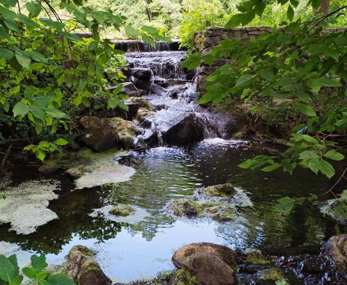 A serene waterfall cascades over rocks into a calm pool, surrounded by lush green foliage.