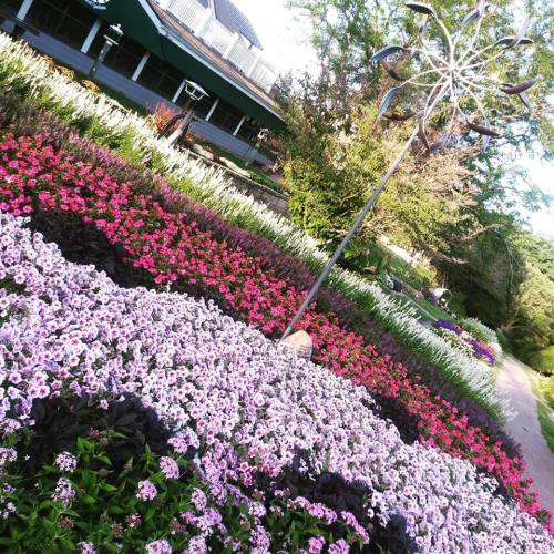 A vibrant garden with colorful flowers in pink, purple, and white, featuring a decorative wind spinner in the background.