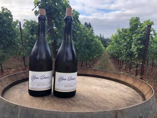 Two bottles of sparkling wine on a wooden barrel, surrounded by lush green vineyards under a cloudy sky.