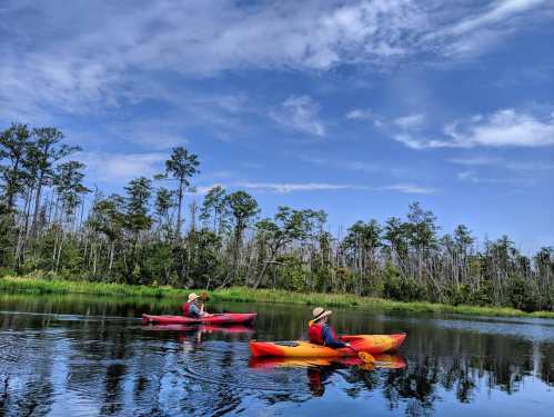 Two people kayaking on a calm river surrounded by trees under a blue sky with scattered clouds.