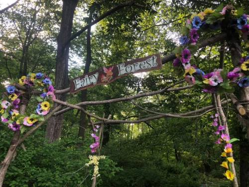 A wooden sign reading "Fairy Forest" adorned with colorful flowers, set in a lush green forest.
