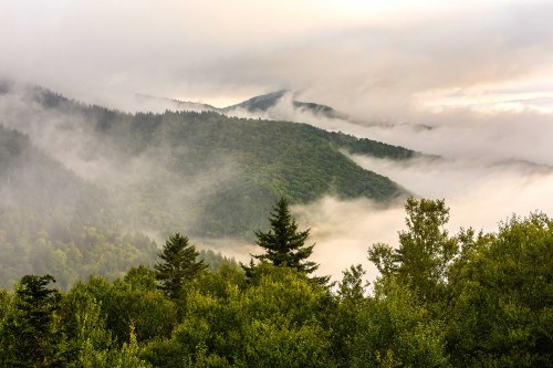 Mist-covered mountains rise above lush green forests under a cloudy sky, creating a serene, tranquil landscape.