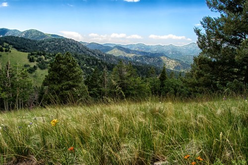A scenic view of rolling mountains and lush greenery under a clear blue sky, with wildflowers in the foreground.