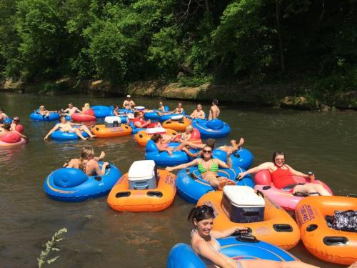 A group of people relaxing on colorful inner tubes in a river, surrounded by lush green trees on a sunny day.