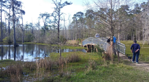 A serene wetland scene with a bridge, people walking, and a dog near a calm pond surrounded by trees.