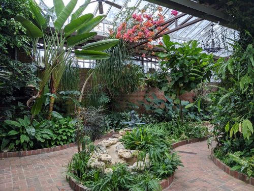 Lush indoor garden with tropical plants, a small pond, and vibrant flowers under a glass roof.