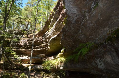 Rock formations with layered cliffs and greenery in a forested area. Sunlight filters through the trees.