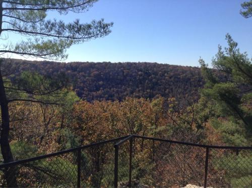 A scenic view of a valley filled with autumn foliage, framed by trees and a protective fence under a clear blue sky.
