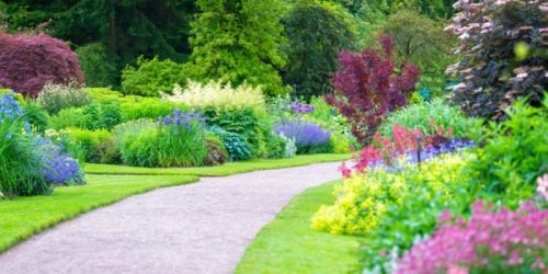 A scenic garden path surrounded by vibrant flowers and lush greenery on either side.