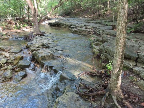 A serene stream flows over rocky terrain, surrounded by lush green trees in a peaceful forest setting.