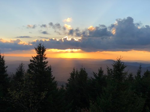 Sunset over a mountain range, with clouds and silhouetted evergreen trees in the foreground.