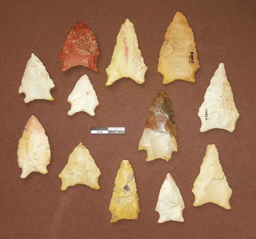 A collection of various arrowheads displayed on a brown background, showcasing different shapes and colors.