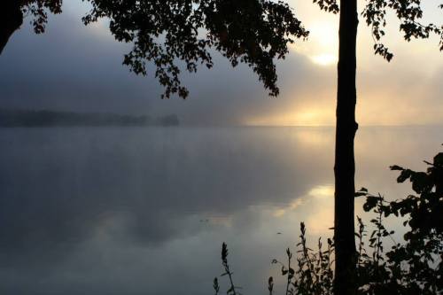 A serene lake at sunrise, shrouded in mist, with silhouettes of trees framing the scene.