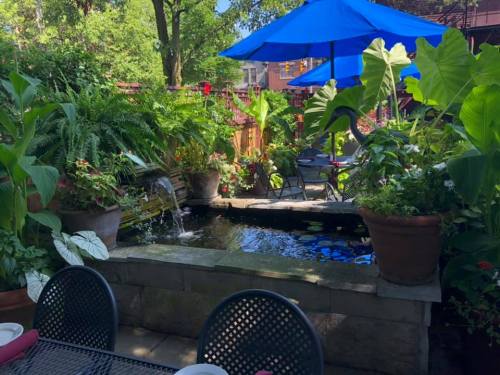 A serene outdoor garden with a pond, lush greenery, and a blue umbrella over a table and chairs.