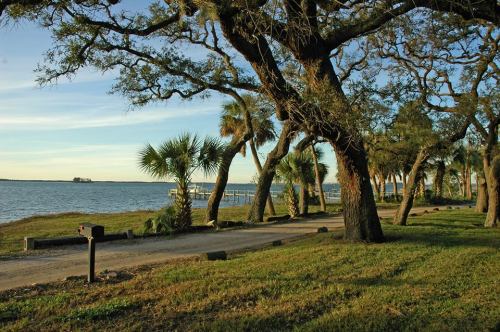 A serene waterfront scene with trees lining a path, leading to a calm bay under a clear blue sky.