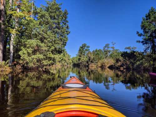 A kayak on calm water surrounded by lush greenery and trees under a clear blue sky.