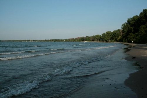 A serene beach scene with gentle waves lapping at the shore, surrounded by trees under a clear blue sky.