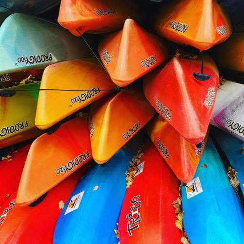 Colorful kayaks stacked on top of each other, with autumn leaves scattered among them.