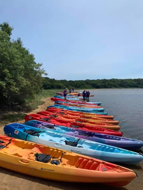 Colorful kayaks lined up along a sandy shore by a calm lake, with people preparing to launch.
