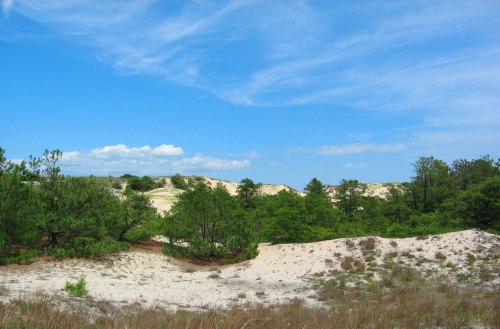 A sandy landscape with green trees and shrubs under a blue sky with scattered clouds.