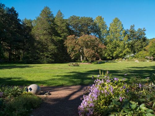 A serene park scene featuring green grass, trees, and colorful flowers along a path leading to a picnic area.