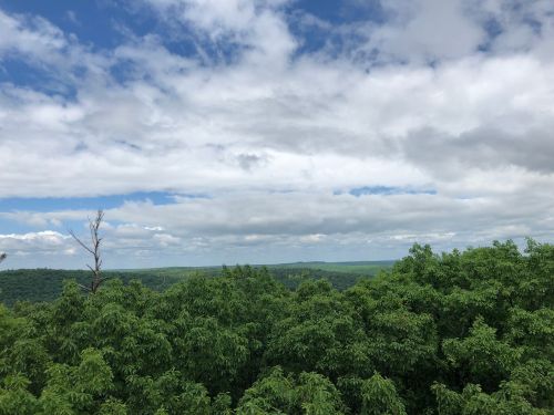 A panoramic view of lush green trees under a partly cloudy sky with distant hills.
