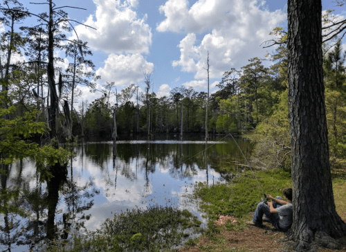 A person fishing by a serene lake surrounded by trees and reflections of clouds in the water.