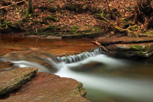 A serene stream flows over rocks, surrounded by moss and fallen leaves in a tranquil forest setting.
