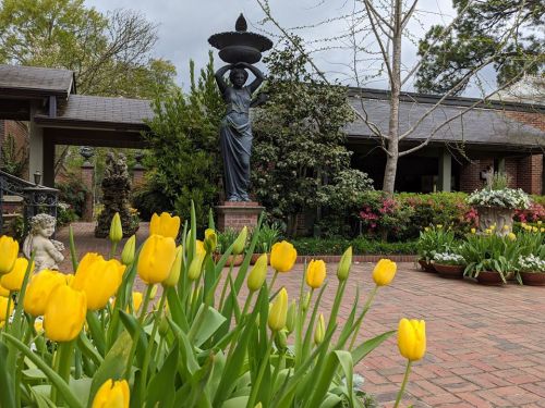 A garden scene featuring yellow tulips in the foreground, a statue holding a fountain, and lush greenery in the background.
