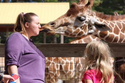 A woman and a child watch as a giraffe extends its tongue towards the woman at a zoo.