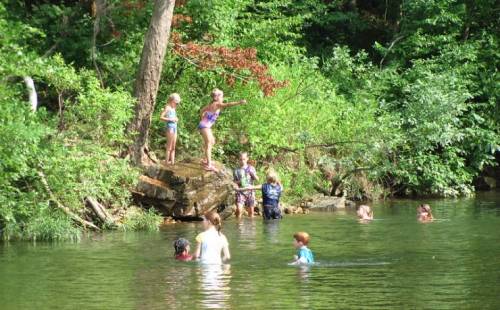 Children playing in a lush green area by a calm river, some swimming while others stand on the shore.