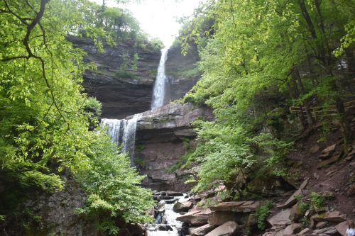 A scenic waterfall cascading down rocky cliffs, surrounded by lush green trees and foliage.