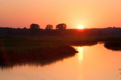 A serene sunset over a river, with silhouettes of trees and a warm orange sky reflecting on the water.