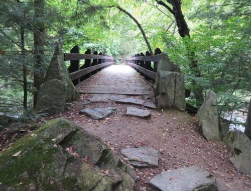 A wooden bridge surrounded by lush greenery and rocky terrain, leading into a serene forest path.