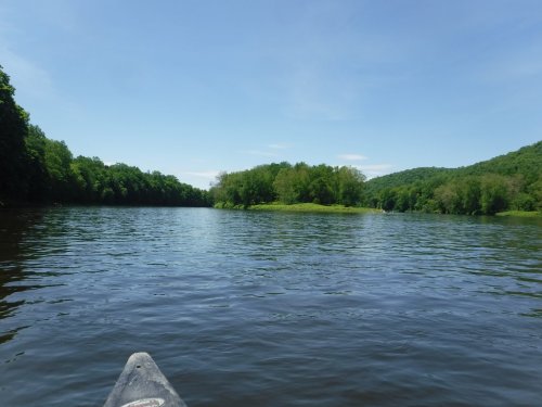 A serene river scene with lush green trees lining the banks under a clear blue sky.