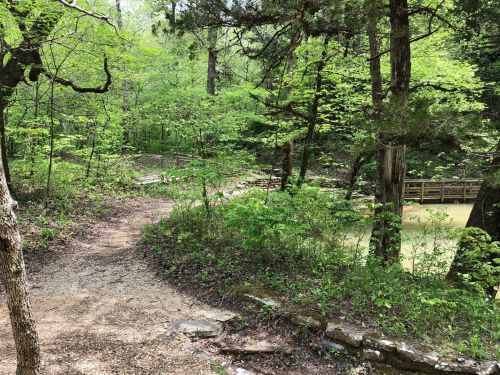 A winding gravel path through lush green trees, leading to a small pond surrounded by vibrant foliage.