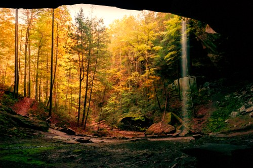 A serene forest scene viewed from a cave entrance, with autumn foliage and a gentle waterfall in the background.