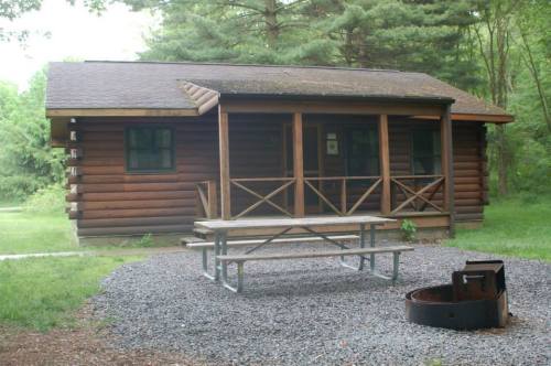 A rustic log cabin with a porch, picnic table, and fire pit, surrounded by greenery and trees.